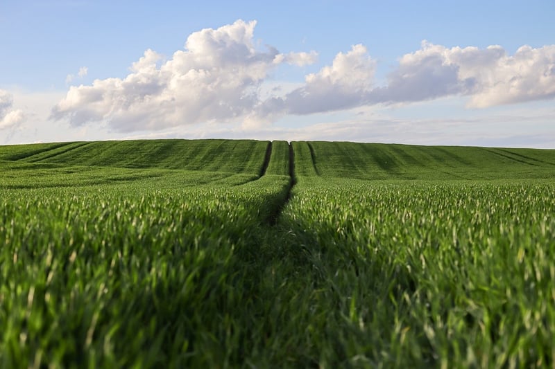 Agroecology