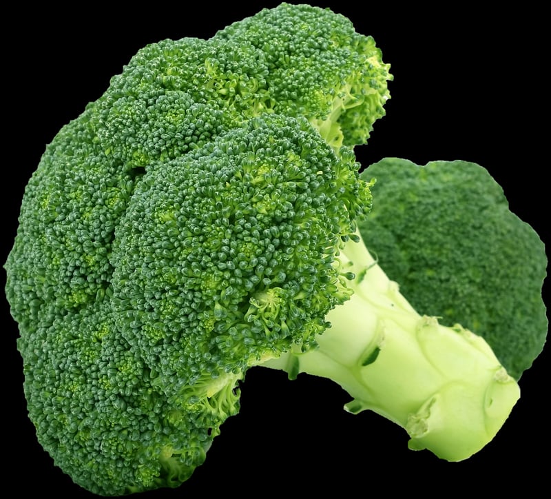 Sustainable Food